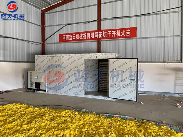 河南藍(lán)天機(jī)械祝信陽(yáng)菊花烘干機(jī)開機(jī)大吉